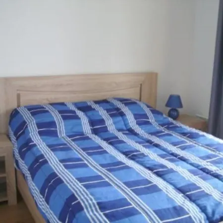 T3 Avec Piscine, Sauna En Front De A - Fr-1-521-1 公寓 比斯卡罗斯海滩
